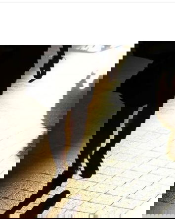 Depenalizzato lo stalking?