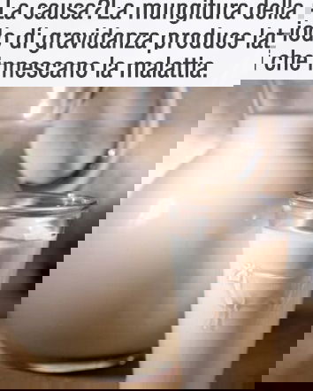 Trovato Legame Tra Latte Pastorizzato E Cancro…