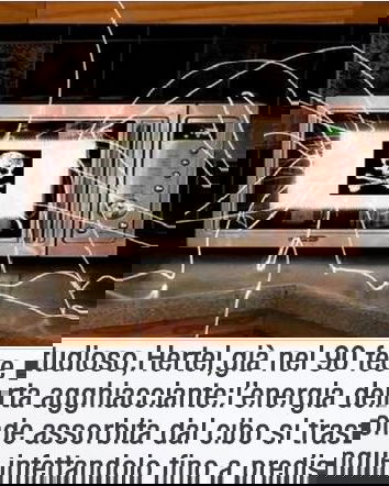 Forni a microonde, il pericolo in agguato?