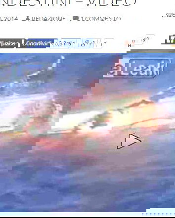 VoxNews e la xenofobia