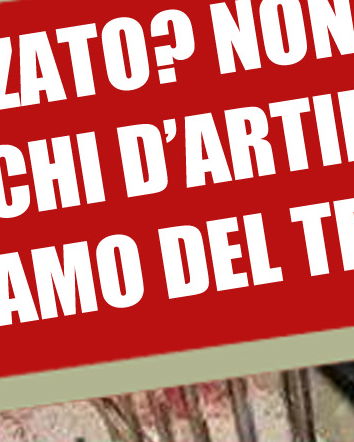 Il cane infilzato per colpa dei fuochi d’artificio