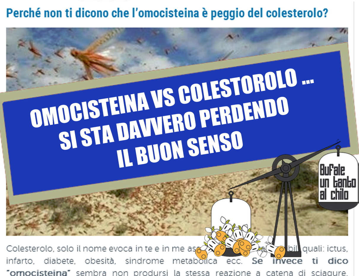 Buon Senso article-post