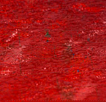 La pioggia di sangue in Colombia