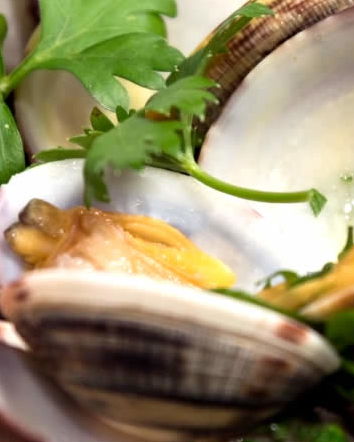 Il millimetro della discordia fra l’Europa e i vongolari italiani