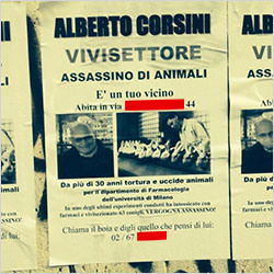 Il senso del fondamentalismo animalaro per la politica