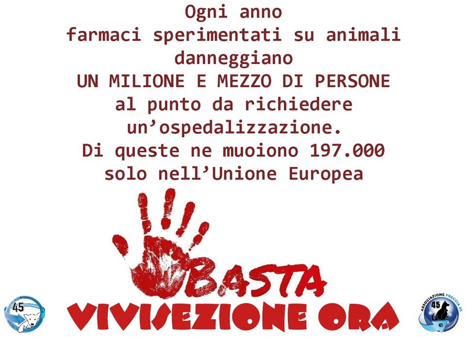 I morti per colpa dei farmaci sperimentati sugli animali article-post