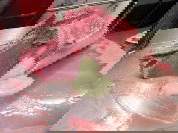 I tumori nella carne che mangiamo