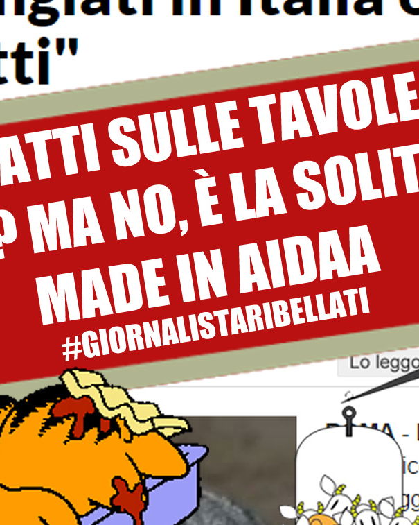 E domani in tavola, gatto alla vicentina! article-post