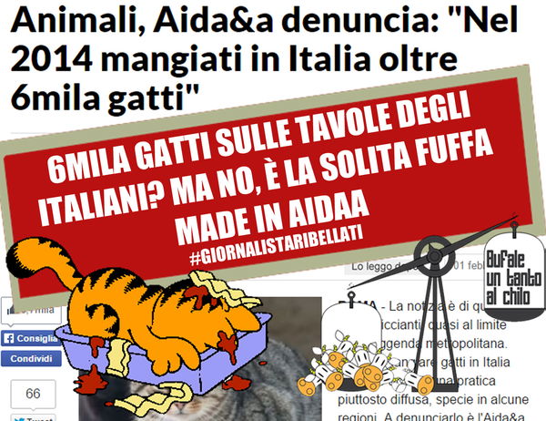 E domani in tavola, gatto alla vicentina!