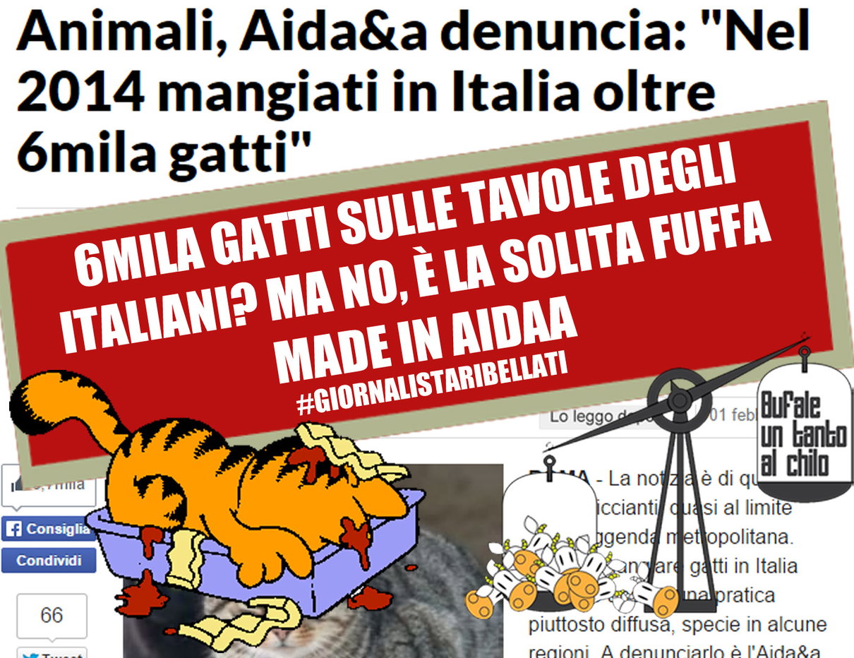 E domani in tavola, gatto alla vicentina! article-post