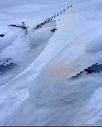 3 morti per la neve chimica?