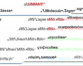 La bimba di 8 anni che cura il cancro