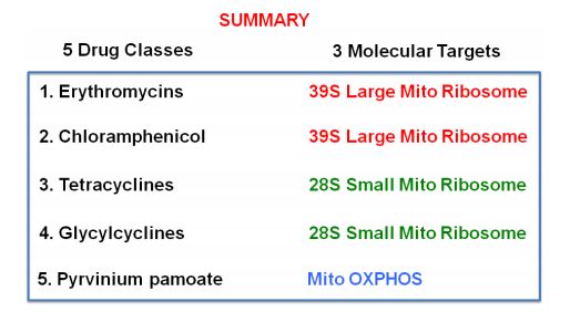 La bimba di 8 anni che cura il cancro