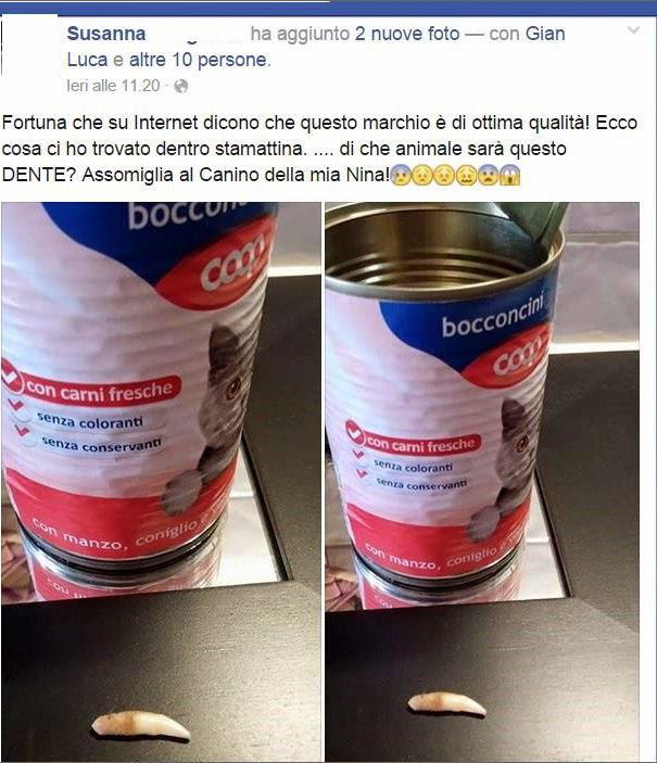 Dente di gatto? article-post