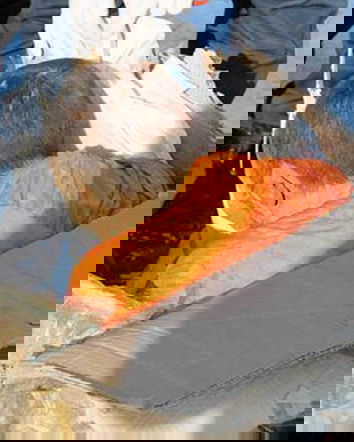 Il monaco buddhista vivo dopo 200 anni?