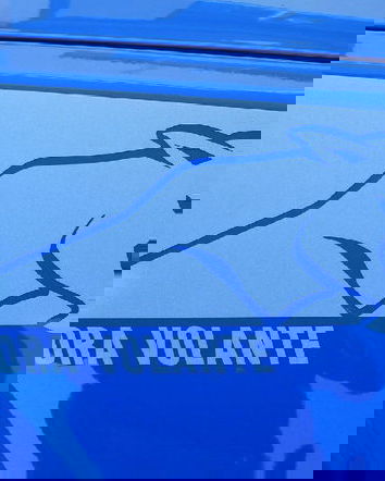 I nomadi con la volante della Polizia