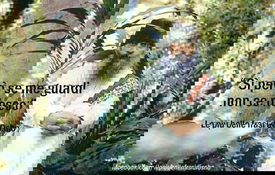 La qualità della controinformazione article-post