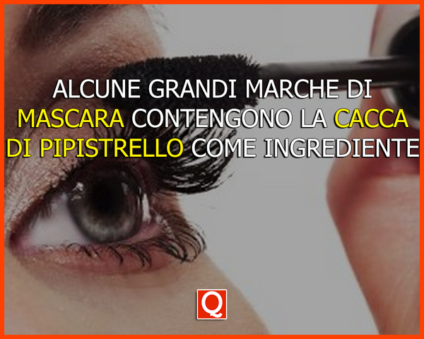 Cacca di pipistrello nel mascara