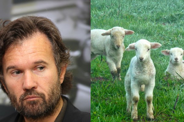 L’agnello di Cracco article-post