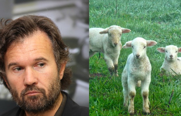 L’agnello di Cracco article-post