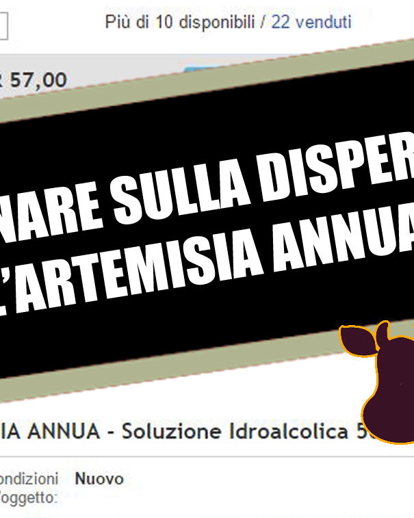 Artemisia annua: guadagnare sulla disperazione! article-post