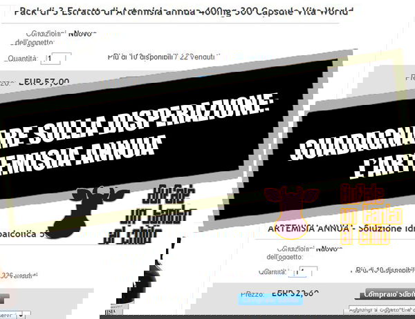 Artemisia annua: guadagnare sulla disperazione!