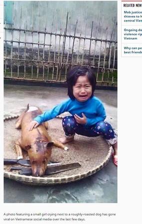 Cane arrosto, bimba in pianto… article-post