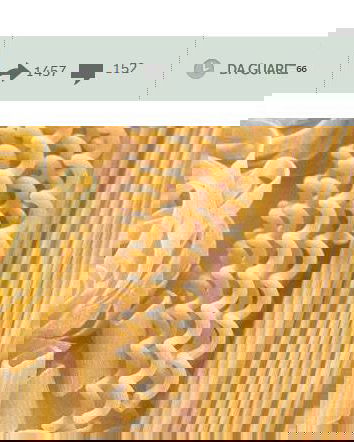 Pierluigi, allergie e intolleranze