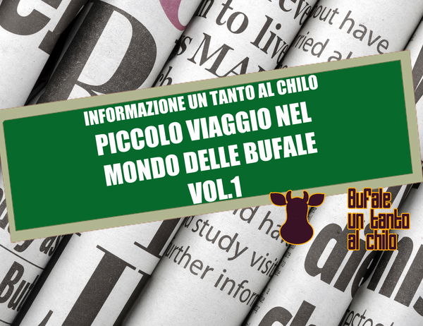 Informazione un tanto al chilo Vol 1.
