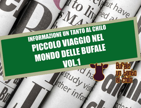 Informazione un tanto al chilo Vol 1. article-post