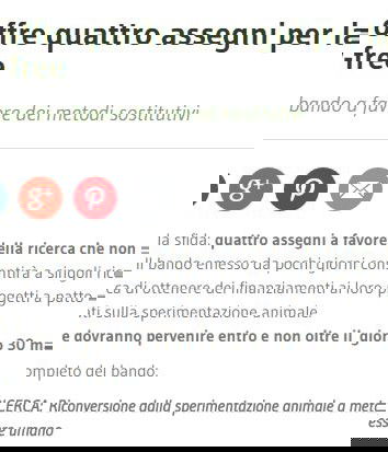 Borse di studio per la sperimentazione alternativa?