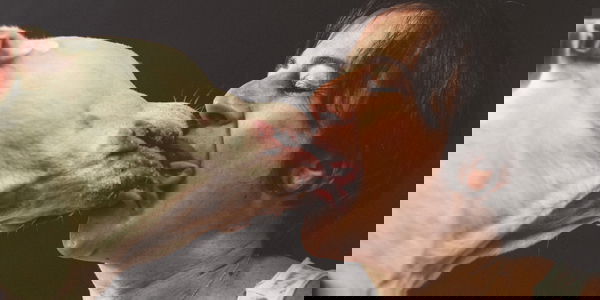 Limonare col proprio cane fa bene