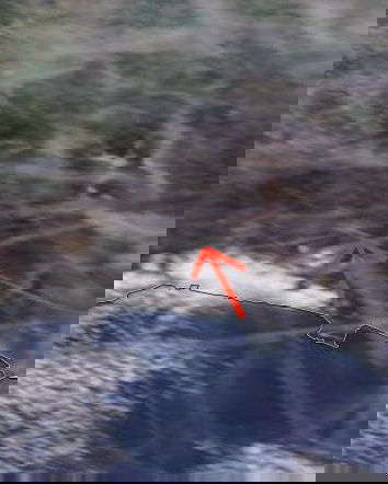 Pesantissimo attacco chimico sull’Emilia Romagna