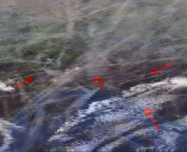 Pesantissimo attacco chimico sull’Emilia Romagna