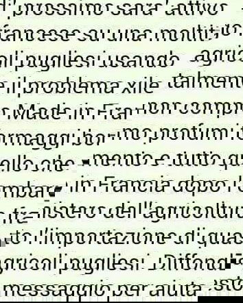 Boicottare la Francia per fermare Xylella