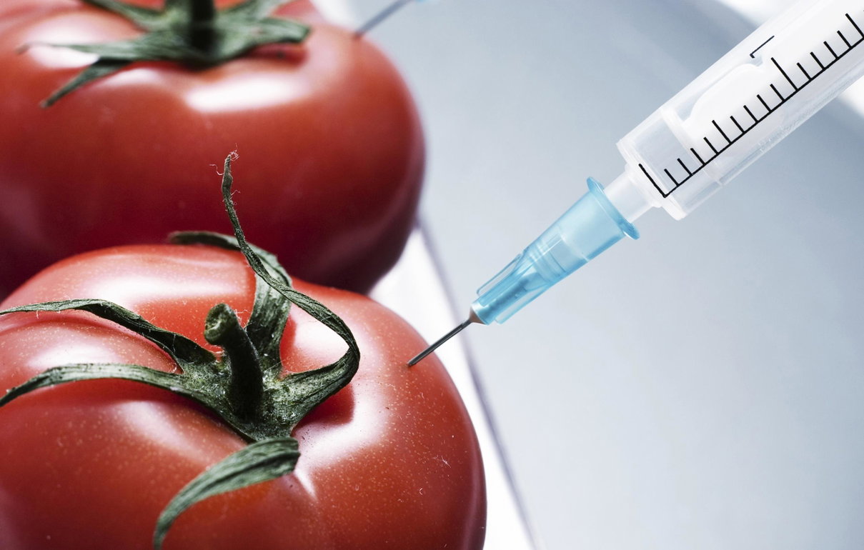 Le industrie che uccidono con gli OGM article-post