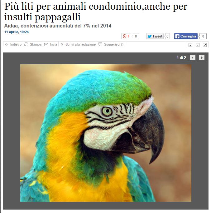 Cani che abbaiano, pappagalli che insultano article-post