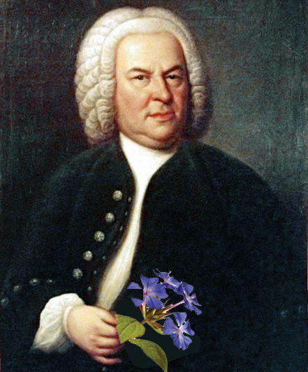 Ma l’Ordine che fa? article-post