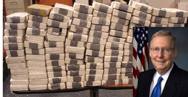 Senatore USA sex drugs & rock’n’roll