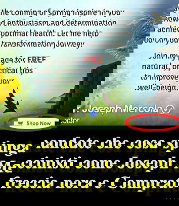 Vaccini e feti abortiti