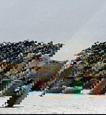 120 milioni di immigrati entro il 2050!!!