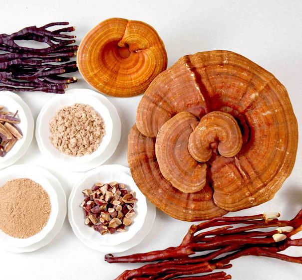 Ganoderma – Carcinoma Epatico Vol.3 article-post