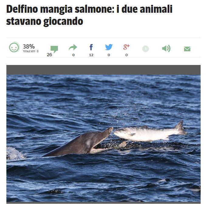 Gatto gioca con topo, e poi se lo mangia. article-post