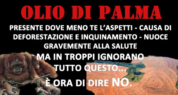 Un po’ di chiarezza sull’olio di palma