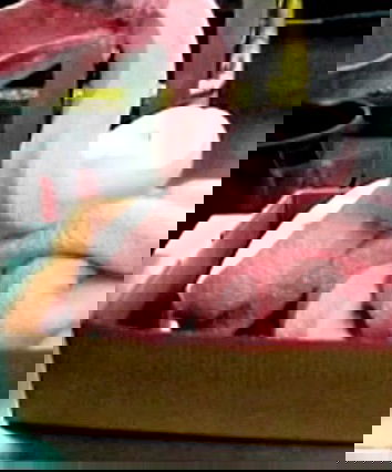 Pink Slime, gli hot dog cancerogeni