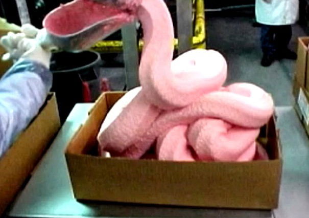Pink Slime, gli hot dog cancerogeni article-post