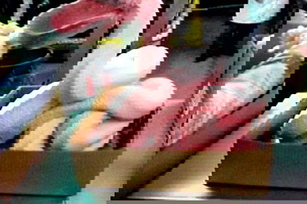 Pink Slime, gli hot dog cancerogeni