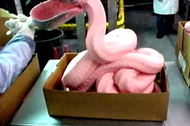 Pink Slime, gli hot dog cancerogeni article-post