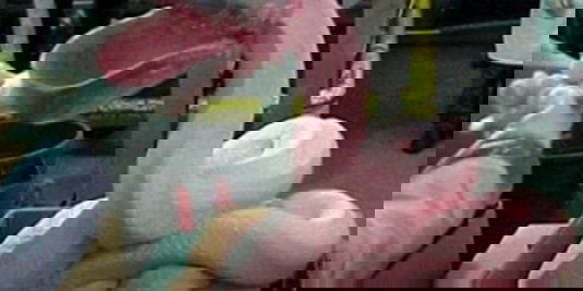 La Fucina e la carne separata meccanicamente article-post