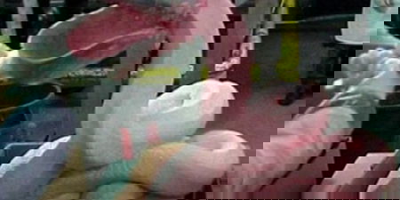 La Fucina e la carne separata meccanicamente article-post